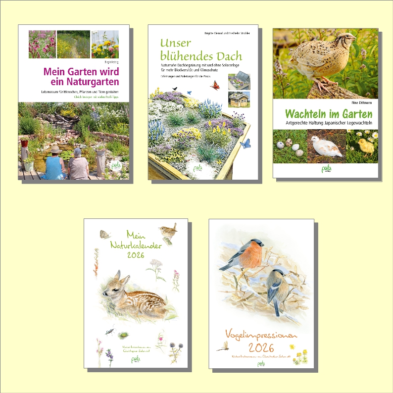 Neu im Frühjahr 2025