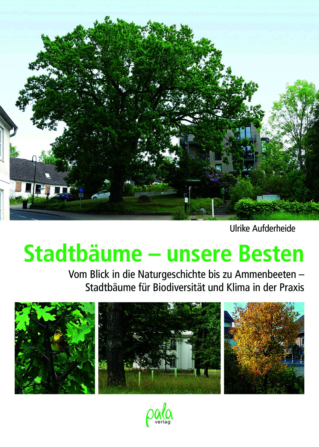 Stadtbäume – unsere Besten – Bild 2