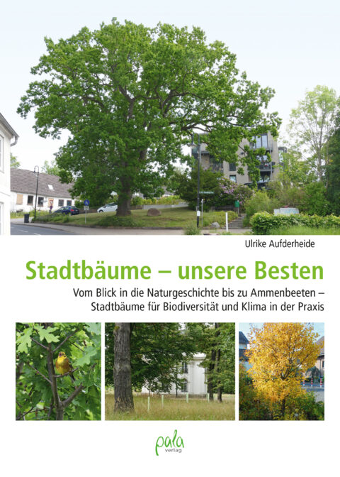 Stadtbäume – unsere Besten