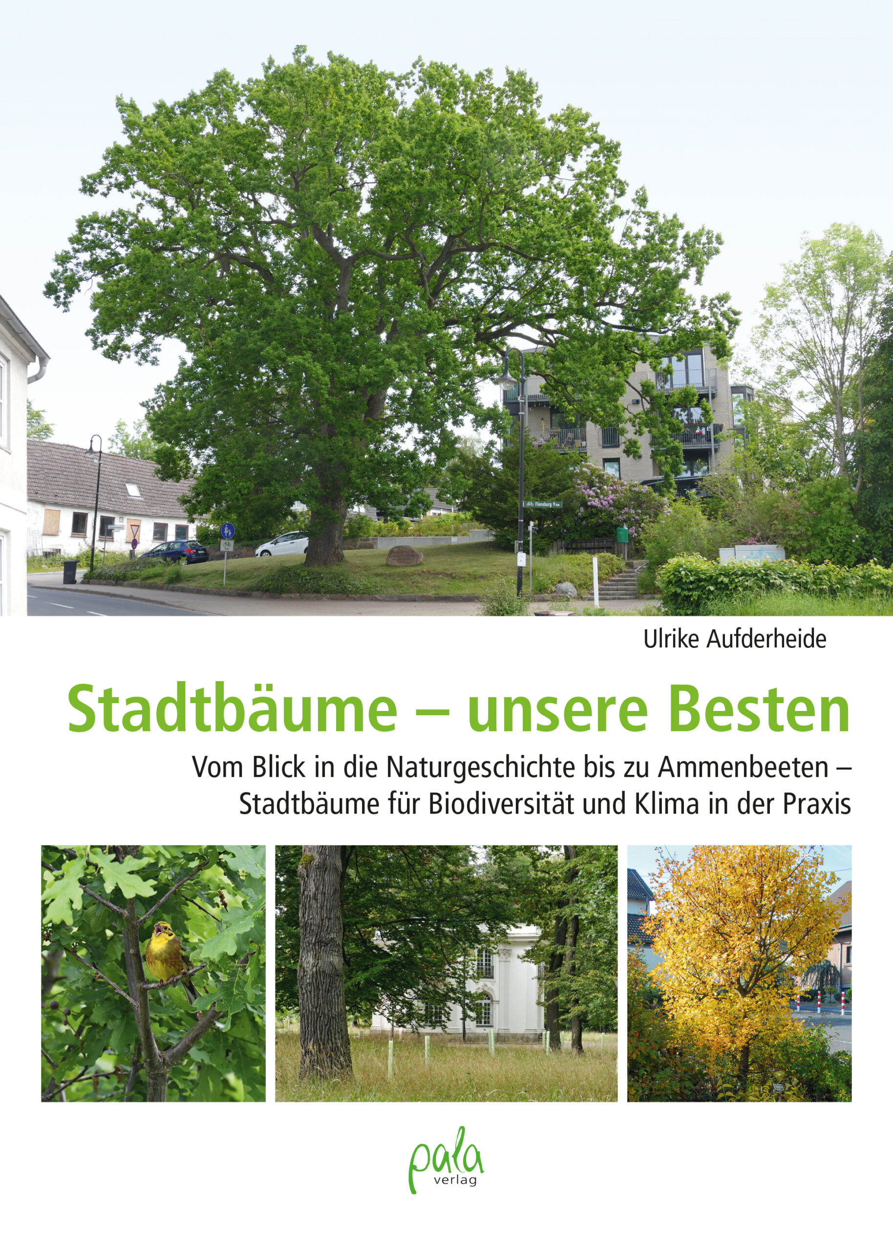 Stadtbäume – unsere Besten