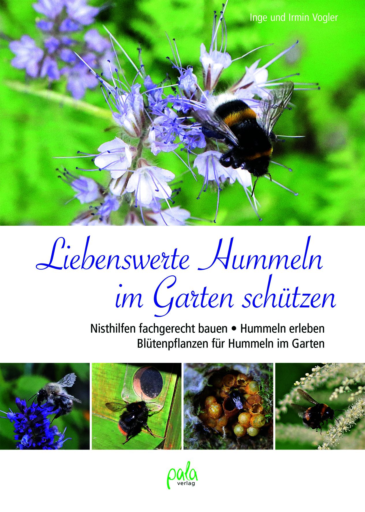 Liebenswerte Hummeln im Garten schützen